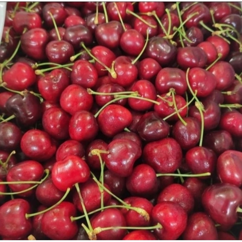 

Buah Cherry Red Cherry Merah Fresh Import /1 Pcak 200 Gram