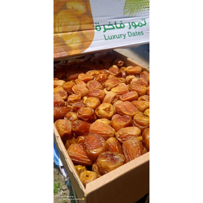 

Kurma Sukary Alqasim