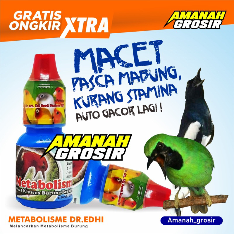 Metabolis Metabolisme Burung Pleci Murai Batu Kenari Dr edi
