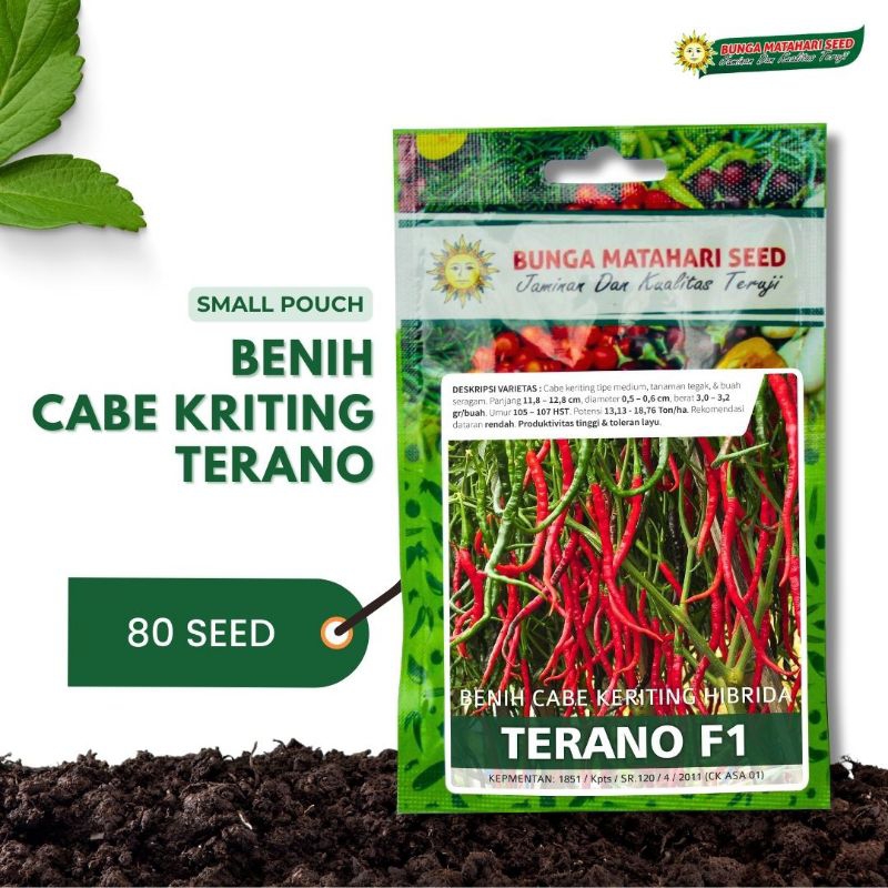 MATAHARI SEED - Benih Cabe Keriting F1 Hibrida (Cabe Keriting Terano) Bibit Unggulan