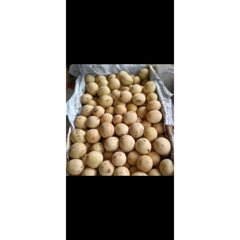 

dukuh palembang 500gr