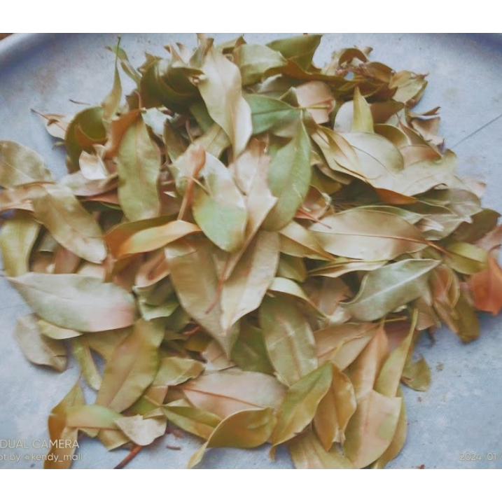 

Daun Sawo Kering Alami