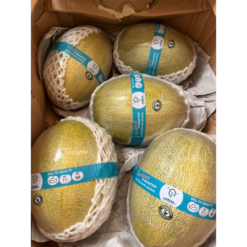 

melon Hamigua