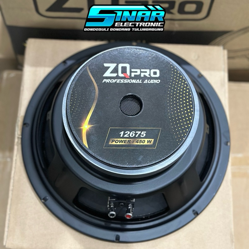 SPEAKER 12in ZQ PRO 12675