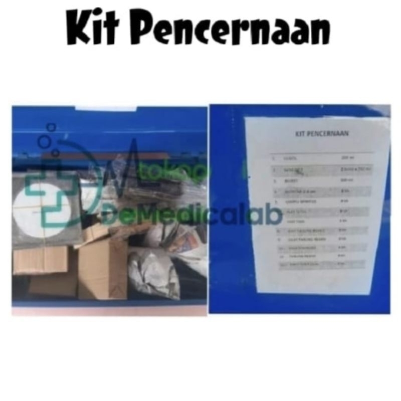 Alat Peraga Sekolah Laboratorium Kit Pencernaan