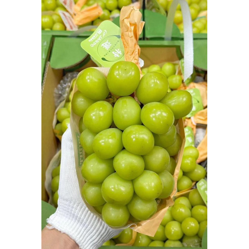 

Nagano Shine Muscat Pack Japan High Quality
