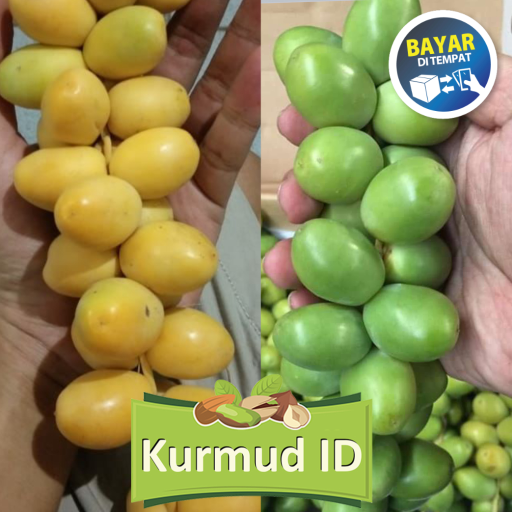 

100gr Kurma Muda Kuning & Hijau |Ruthob Promil Segar bukan Frozen
