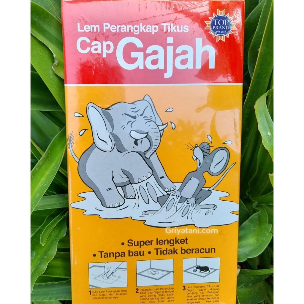 Lem Perangkap Tikus Cap Gajah Trap Papan X-Glue / X Glue 70Gr 70 Gram Original
