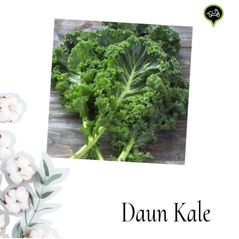 

Kale daun