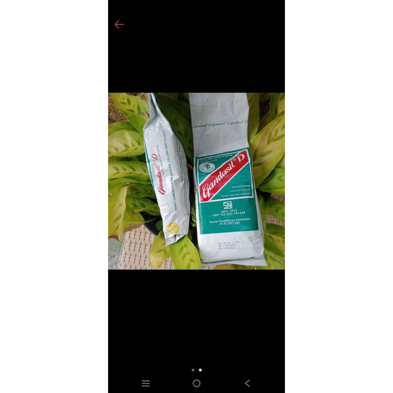 gandasil D 500gr