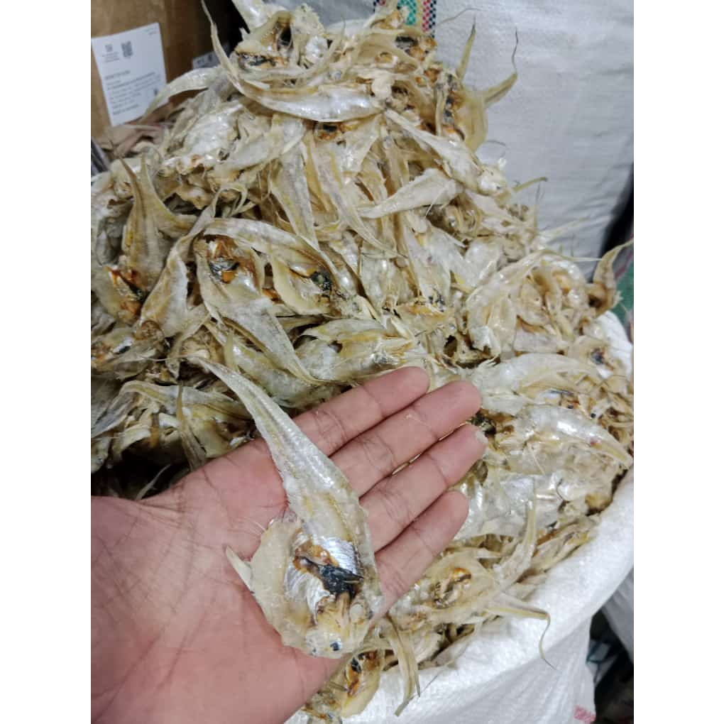 

Ikan Asin Bulu Ayam Lurus 100gr - Semi Asin, Gurih di Setiap Gigitan