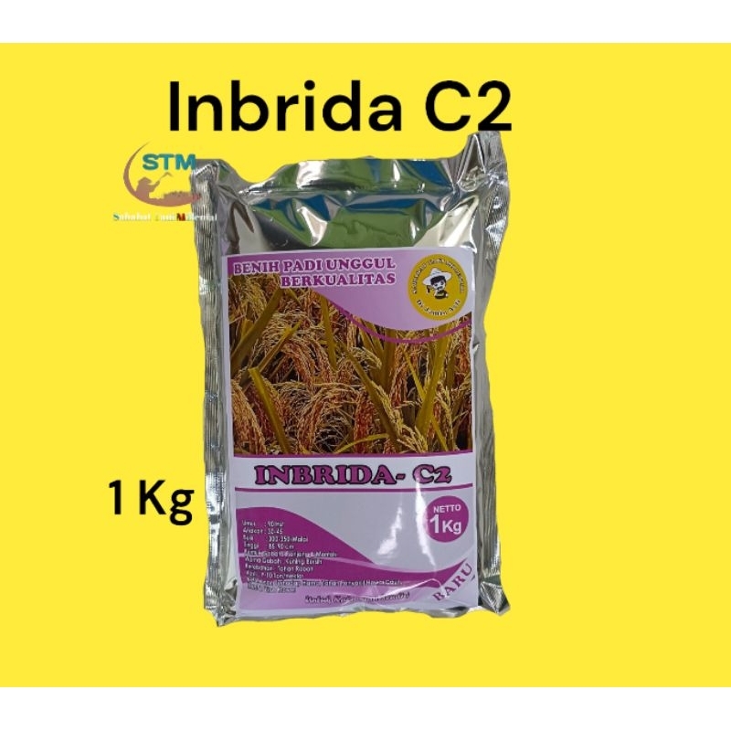 Benih Padi inbrida C2 Original Kemasan 1Kg