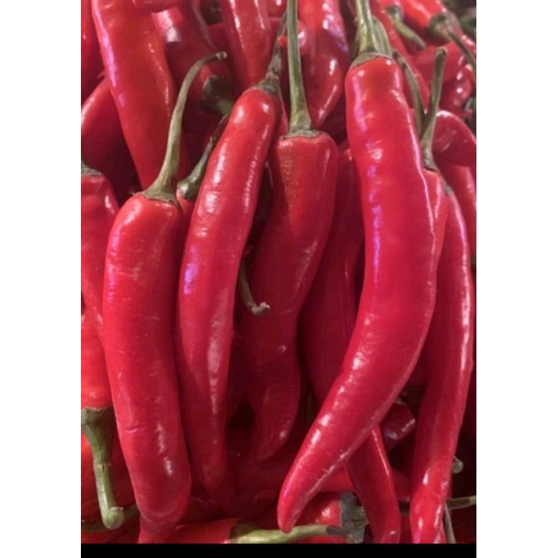 

cabe merah besar 250grm & 500grm