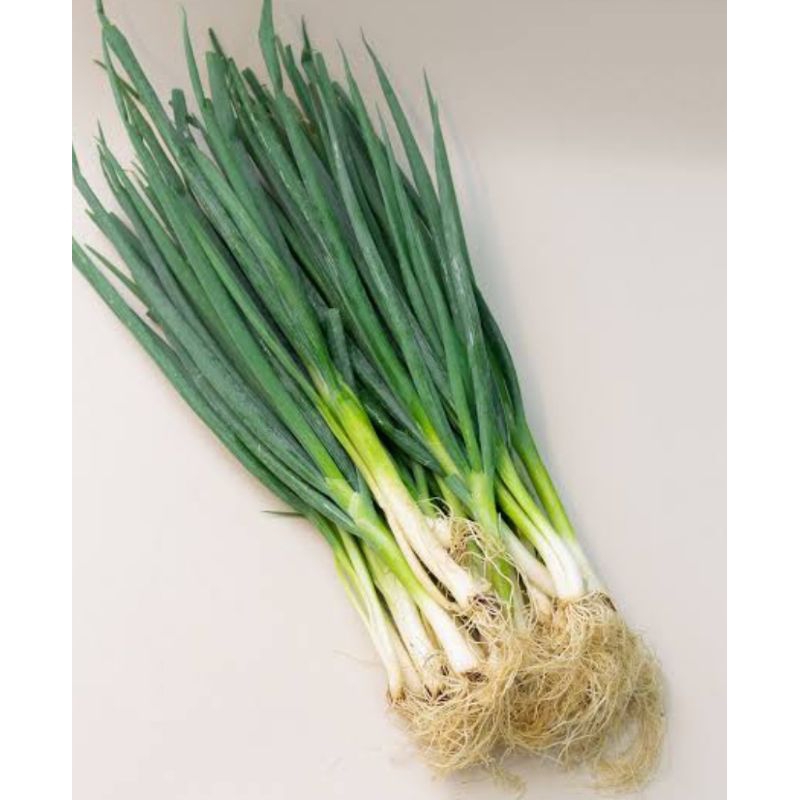 

daun bawang. daun sadri/ sop. dn bawang saledri