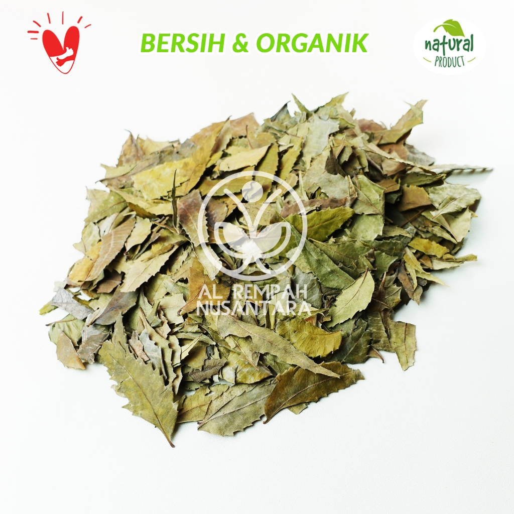 

Daun Mimba 100gr atau Neem Kering - Kualitas Terjamin