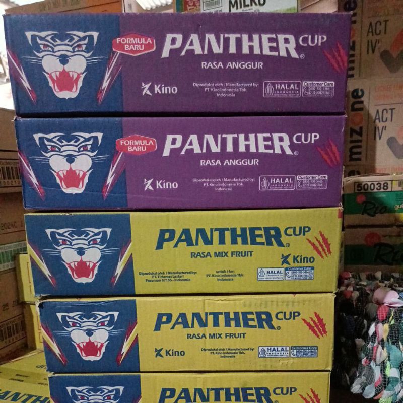 

panther cup dgn rasa buah2an