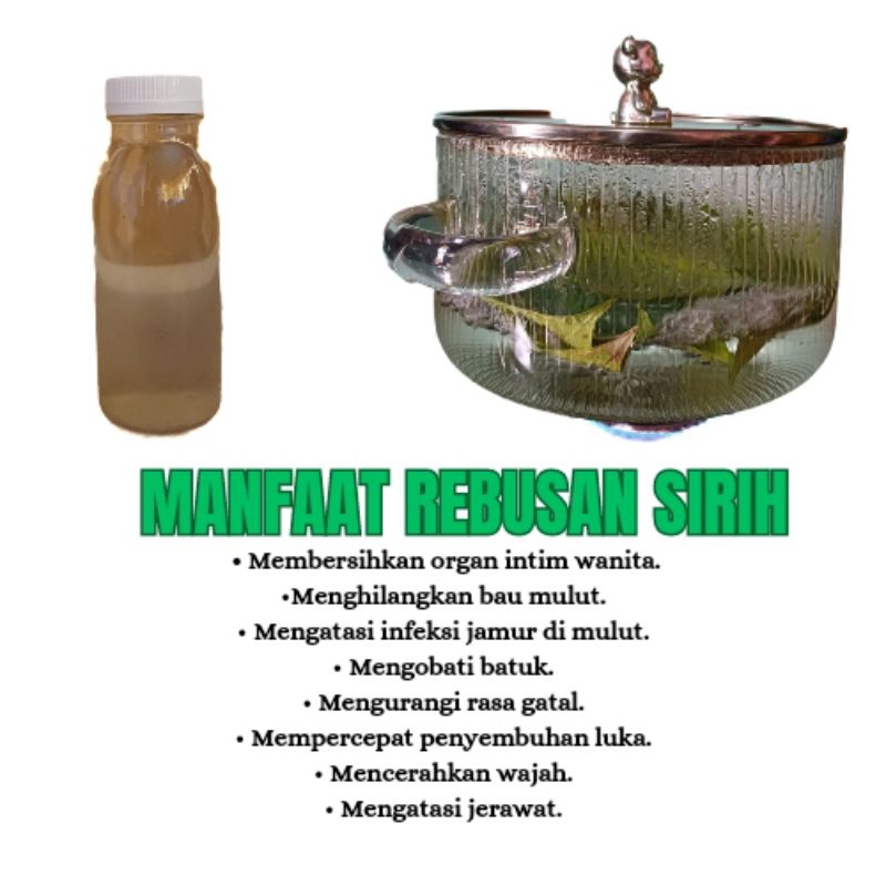 

Rebusan air sirih kaya khasiat