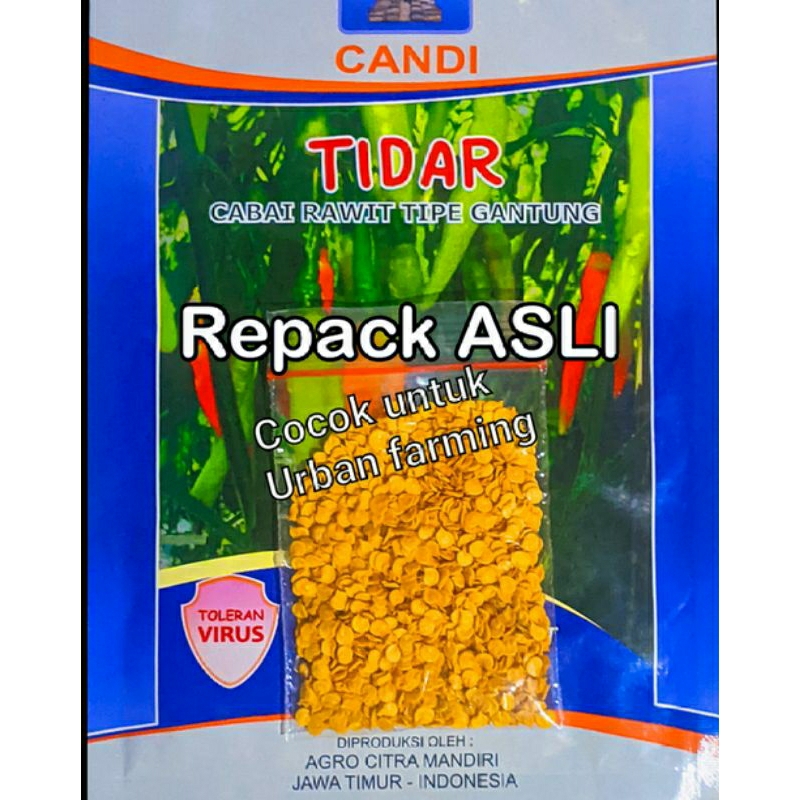 Benih cabe repack ecer Tidar terbaru original benih unggul5gram