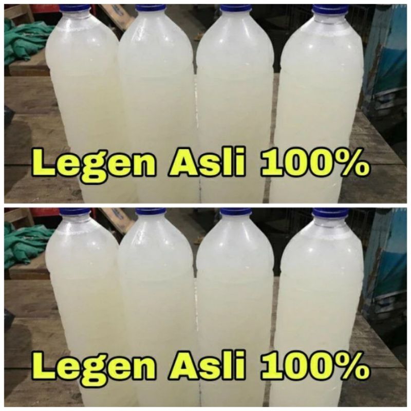 

Legen Tuban asli dr tuban 100% air nira dr pohon siwalan