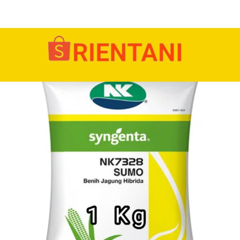 NK 7328 SUMO exp 2025