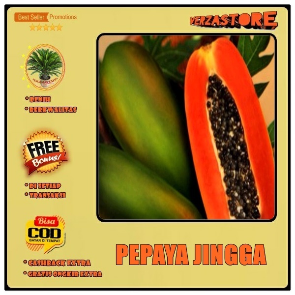 biji/benih/bibit buah pepaya jingga Super  /10 biji