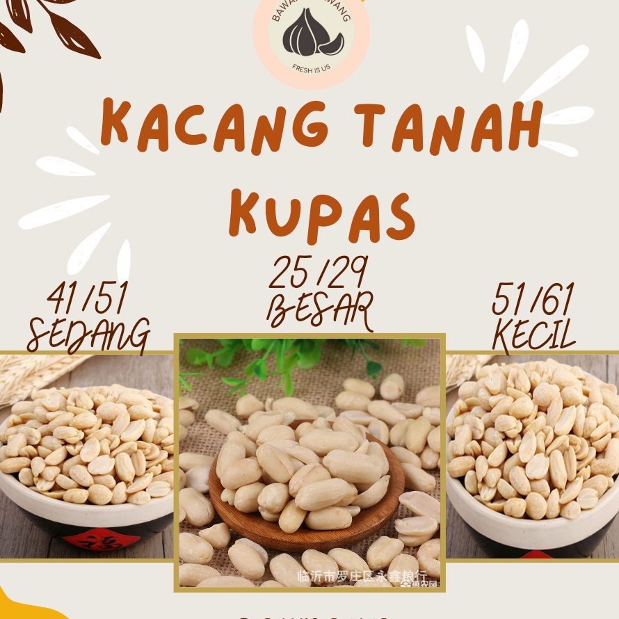 

RNQR2719 TEBUS MURAH Kacang Tanah Kupas Bersih Import 1 KG kualitas premium HSD