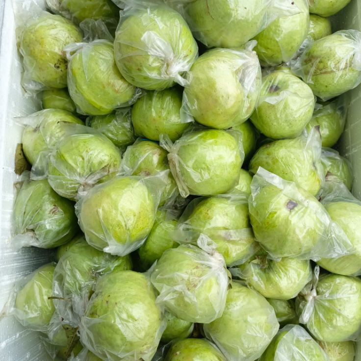 

SRNL452 PROMO SALE jambu kristal 1 kg