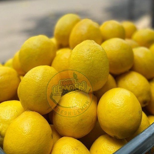 

ZKRL3855 Terbaru 33 Jeruk Lemon California Super 1 KG by SUUR LEMOEN ID