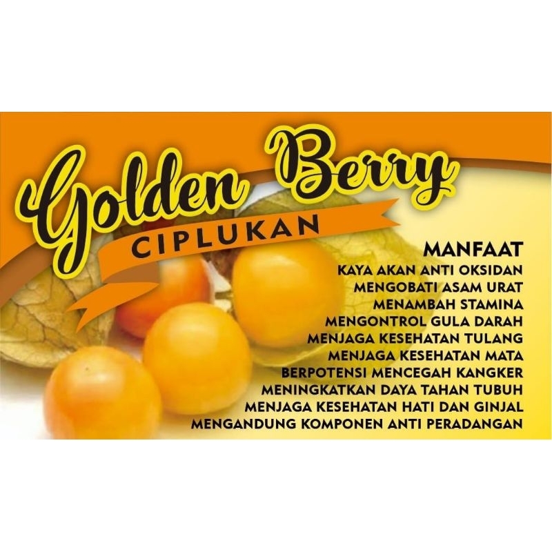 

BUAH CIPLUKAN KUPAS SEGAR | GOLDEN BERRY KHAS DIENG | BUAH BERKHASIAT