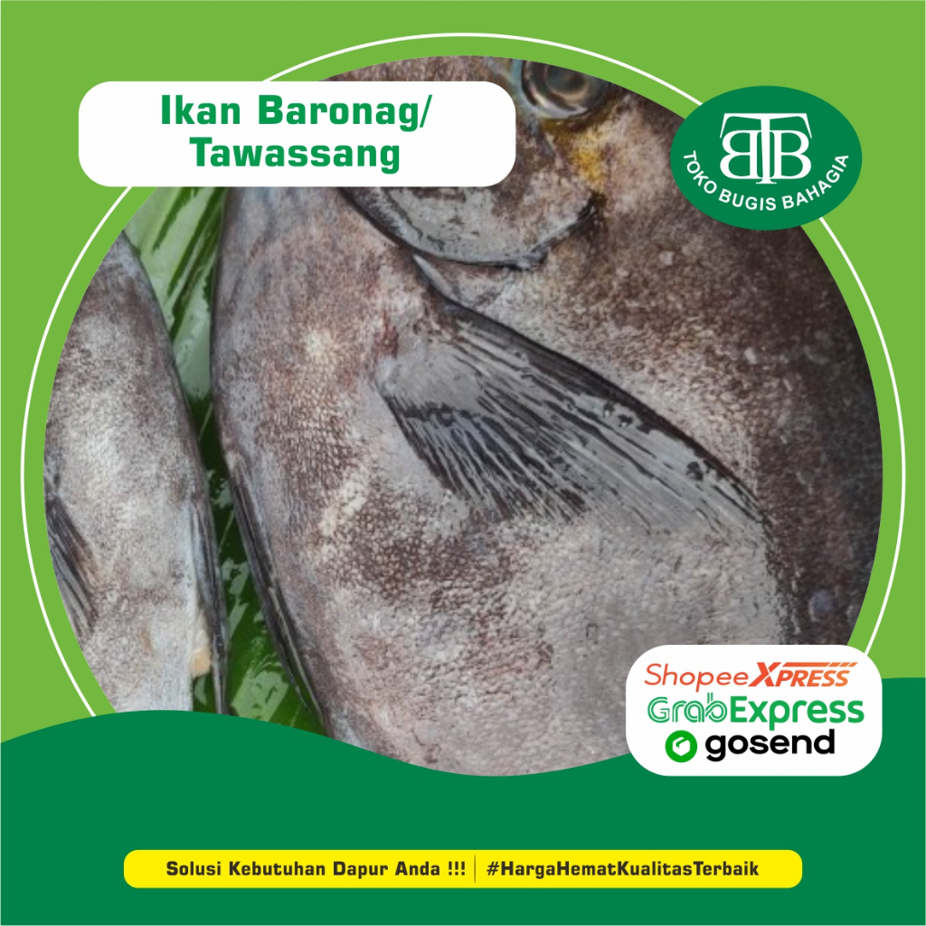 

Ikan Baronang/Tawassang, Toko Bugis Bahagia