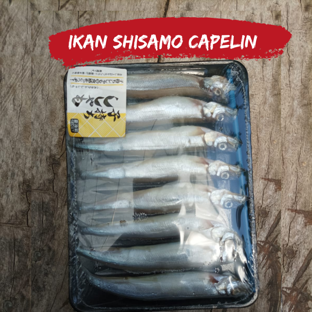 

Ikan Shisamo fish capelin frozen