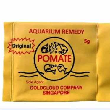 obat ikan pomate