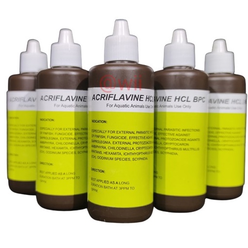 GROSIR MURAH Acrivlafine Acriflavine HCL BPC 1ML obat cair ikan hias cupang guppy