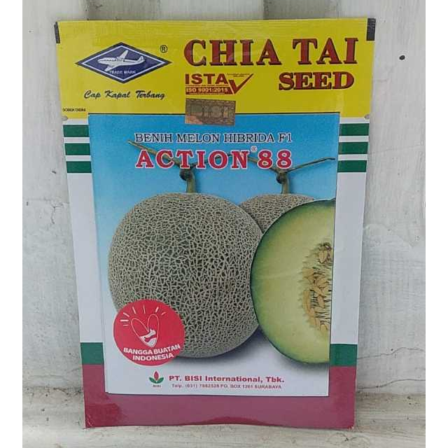 Benih Melon Action 88 F1 550 Butir