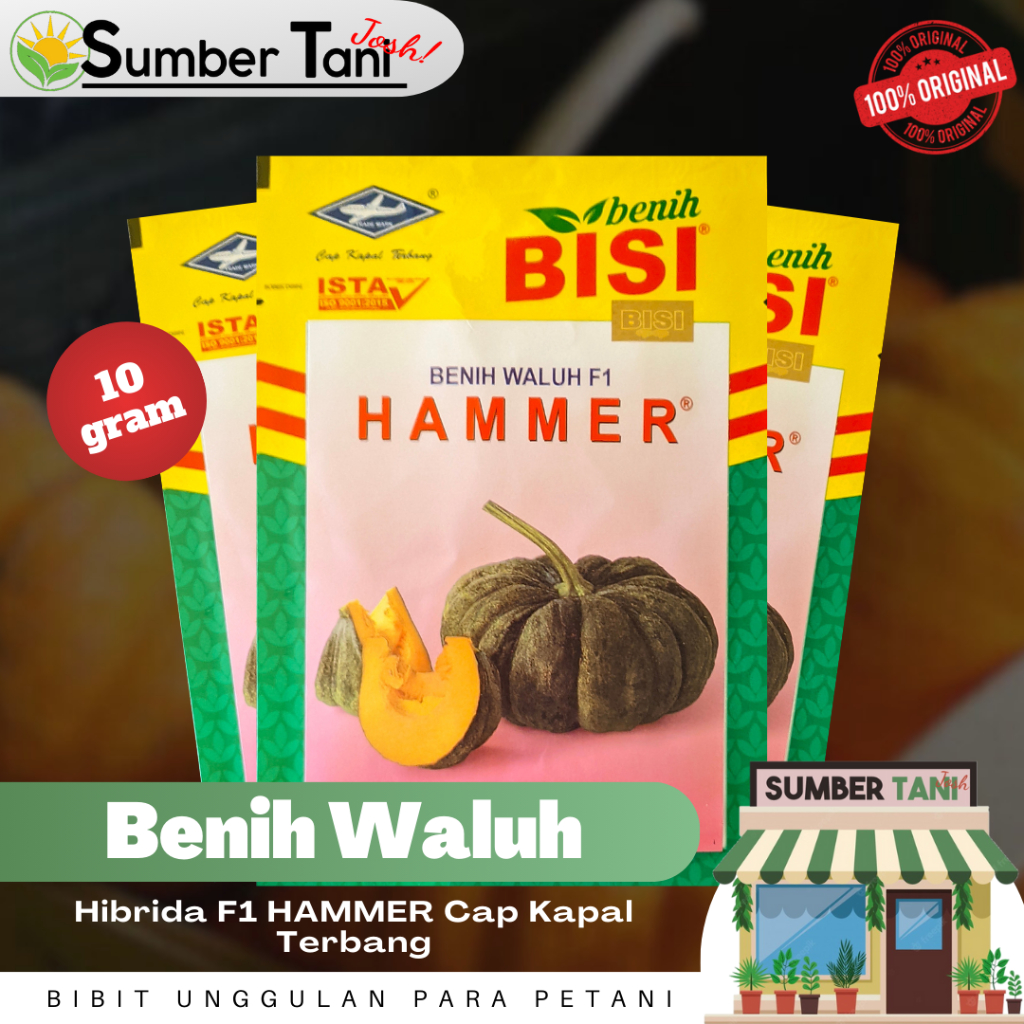 Benih Waluh F1 HAMMER 10gr Cap Kapal Terbang