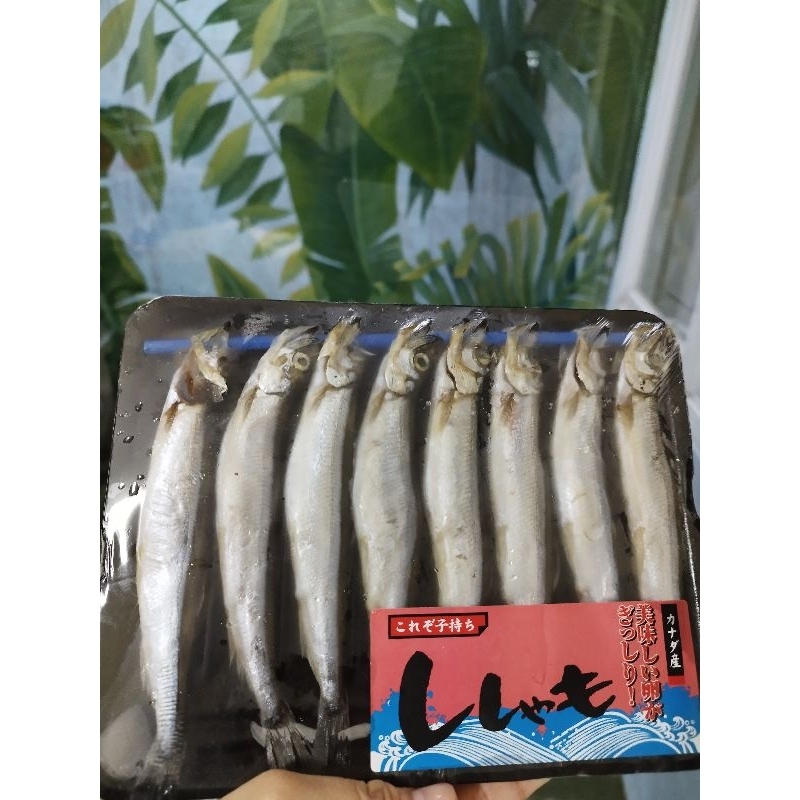 

Ikan Shisamo Jepang Isi 8 ekor frozen