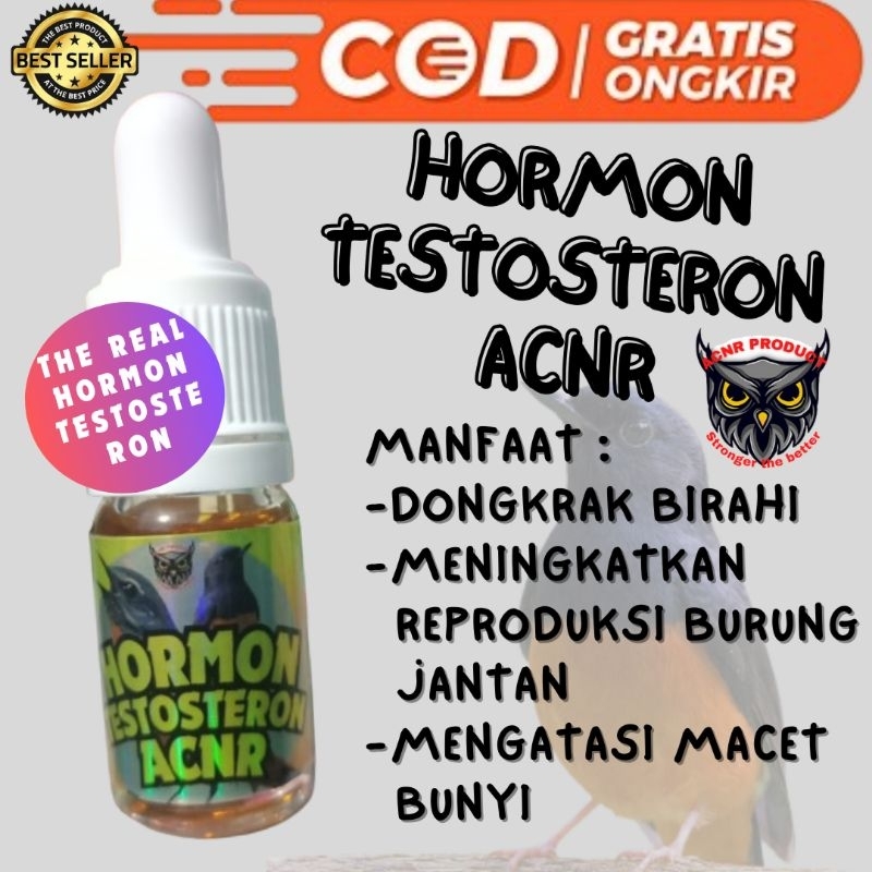 HORMON TESTOSTERON ACNR | HORMON TESTOSTERON KHUSUS BURUNG | UNTUK SEMUA JENIS BURUNG