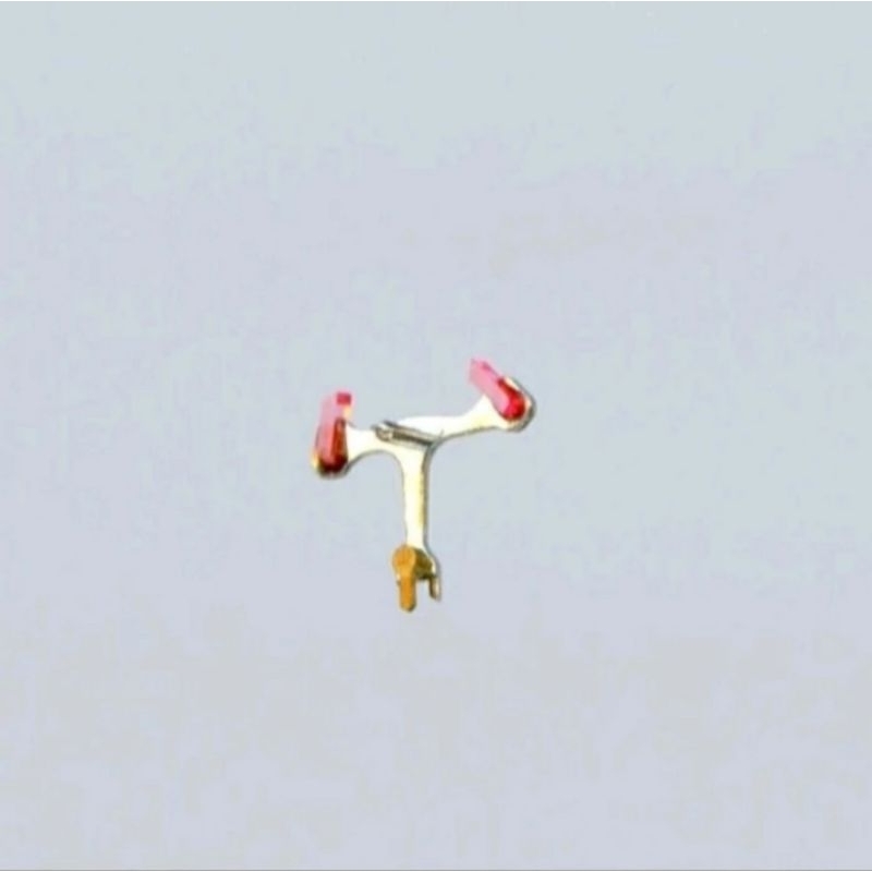 IKAN IKAN MESIN JAM TANGAN ETA 2836 BEST QUALITY IMPORT