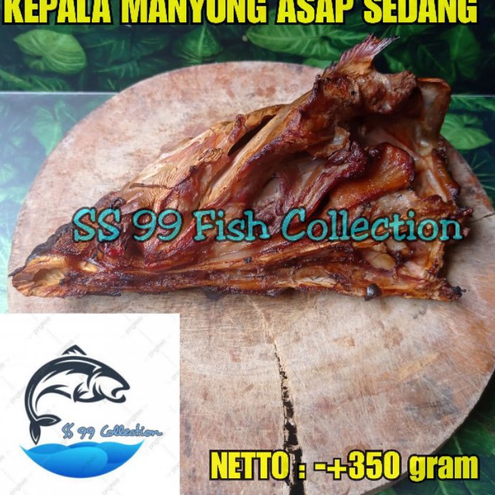 

XVTS191 V44859 kepala manyung asap Kepala manyung asap ukuran sedang