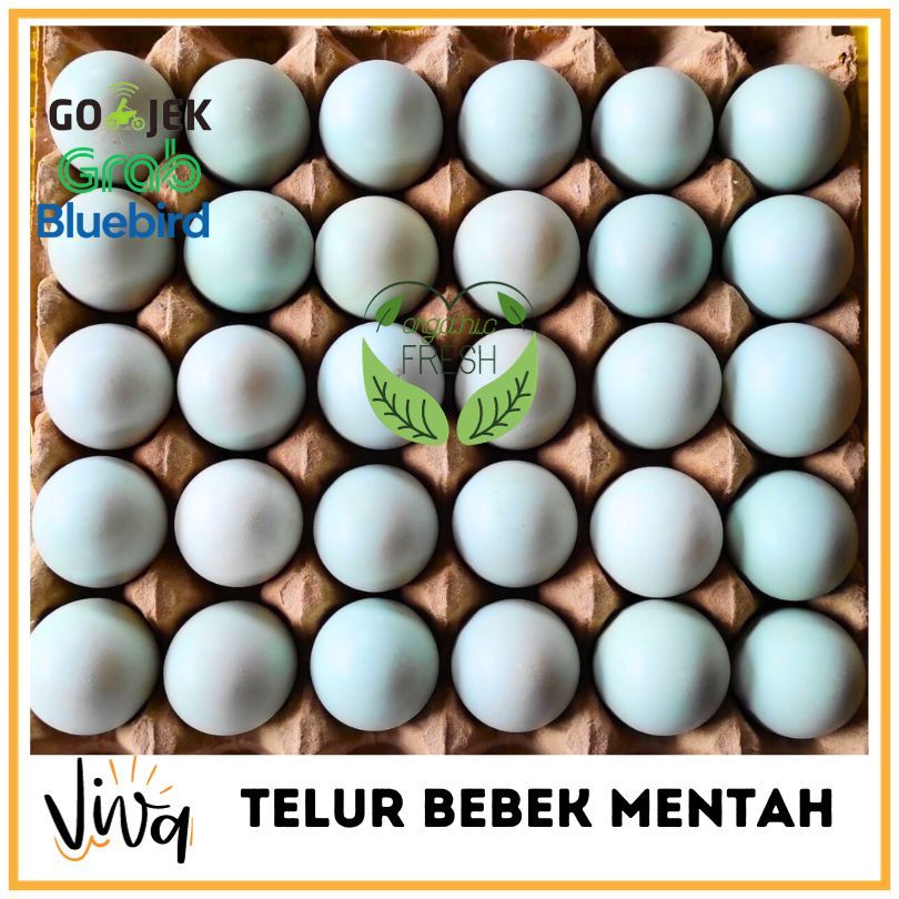 

TELUR BEBEK SEGAR READY STOCK PER BUTIR