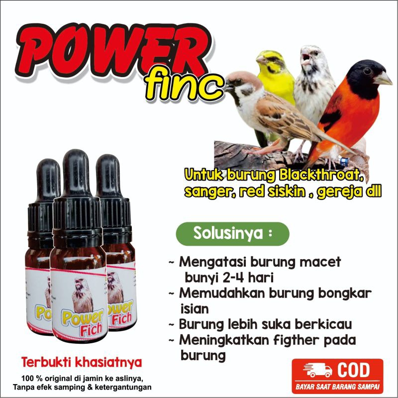 power finc_vitamin penggacor gereja, sanger, blackthroat,dll
