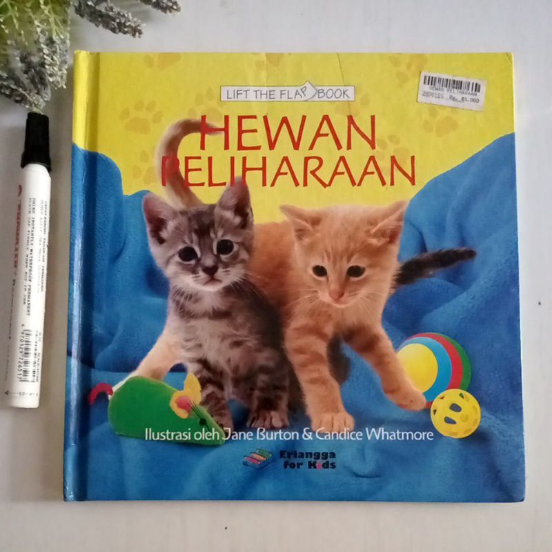lift the flap book hewan peliharaan erlangga for kids preloved