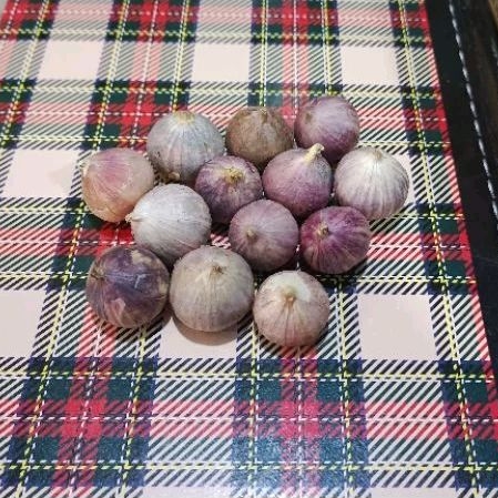 

Bawang tunggal/Lanang Besar 1kg
