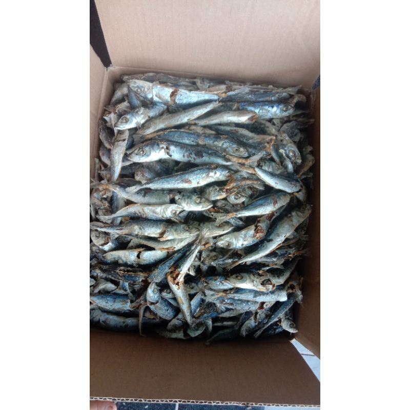 

Ikan Asin Layang Rebus bebas formalin