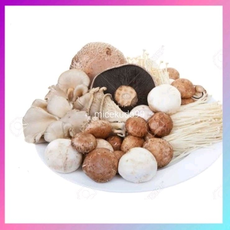 

JAMUR SEGAR 1KG MIX MUSHROOM FRESH MIXED CAMPUR ANEKA JAMUR