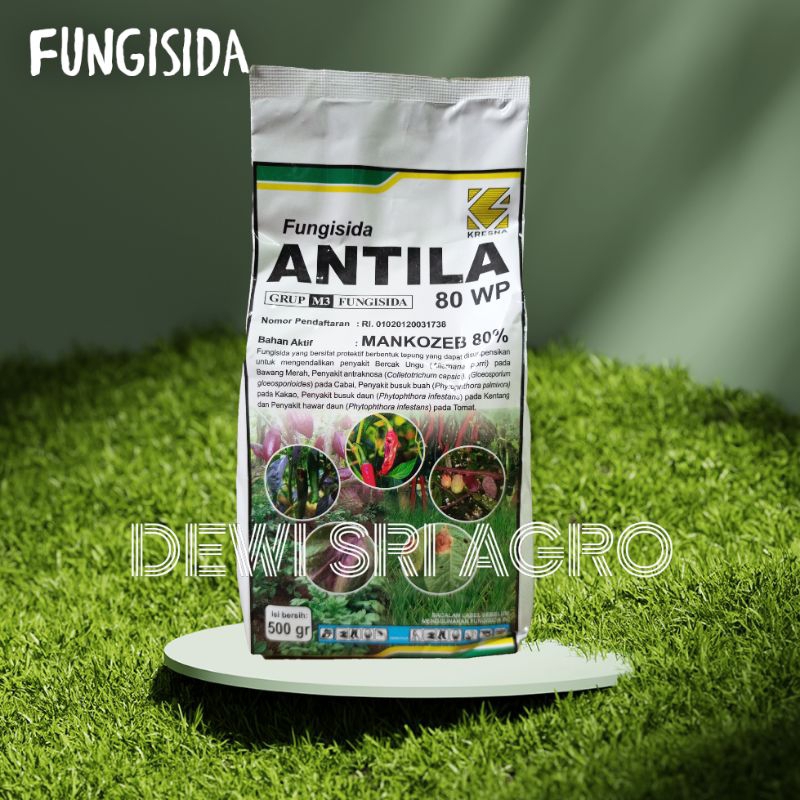 FUNGISIDA ANTILA 500 GRAM MENGENDALIKAN JAMUR PADA TANAMAN CABAI