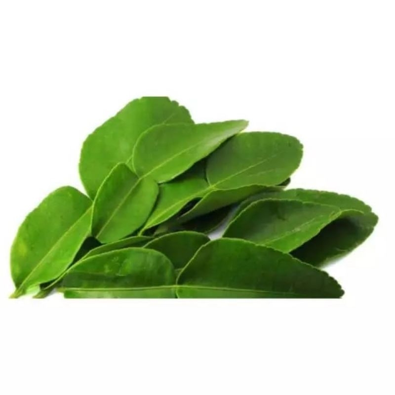 

daun jeruk 1 pack - KIRIM INSTAN