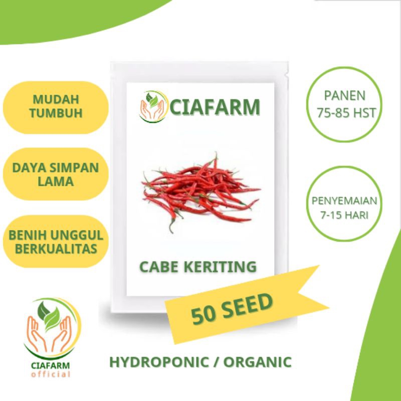 benih cabe merah keriting super