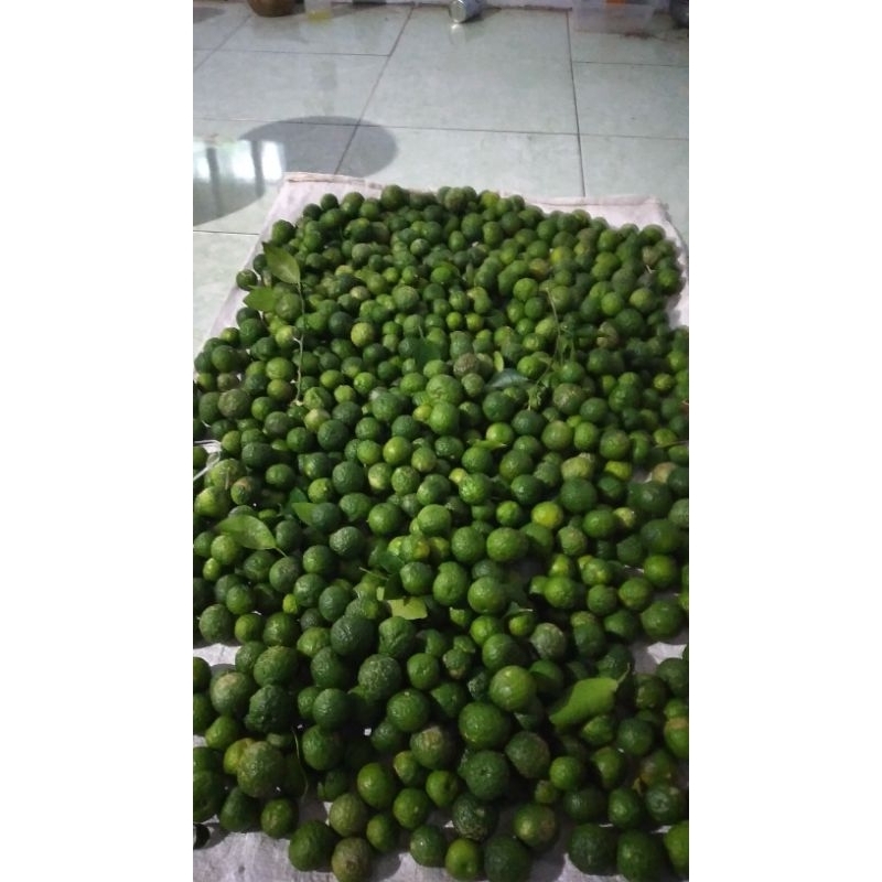 

jeruk limau fresh 250g
