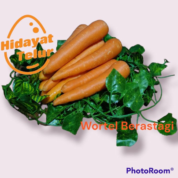 

PROMO ALE WORTEL BERASTAGI 5 Gram